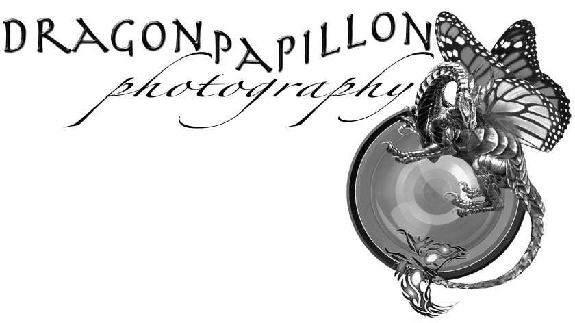 Dragon Papillon Photography Logo